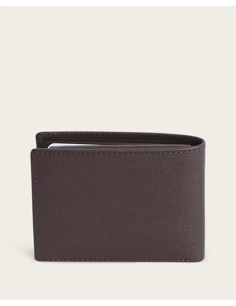 CARTERA PIEL