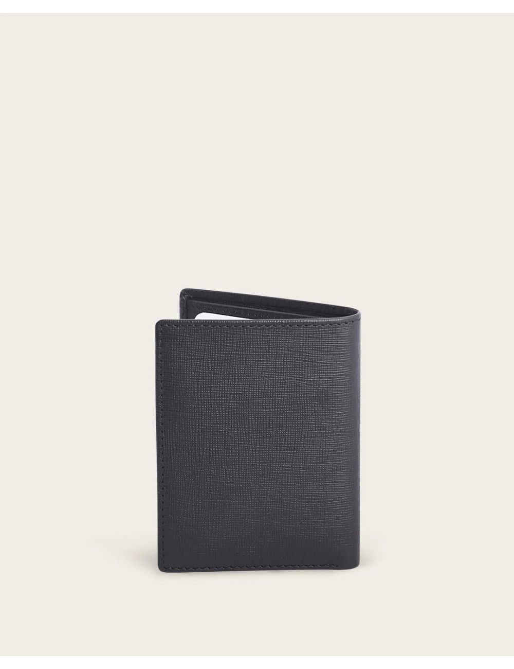 CARTERA PIEL
