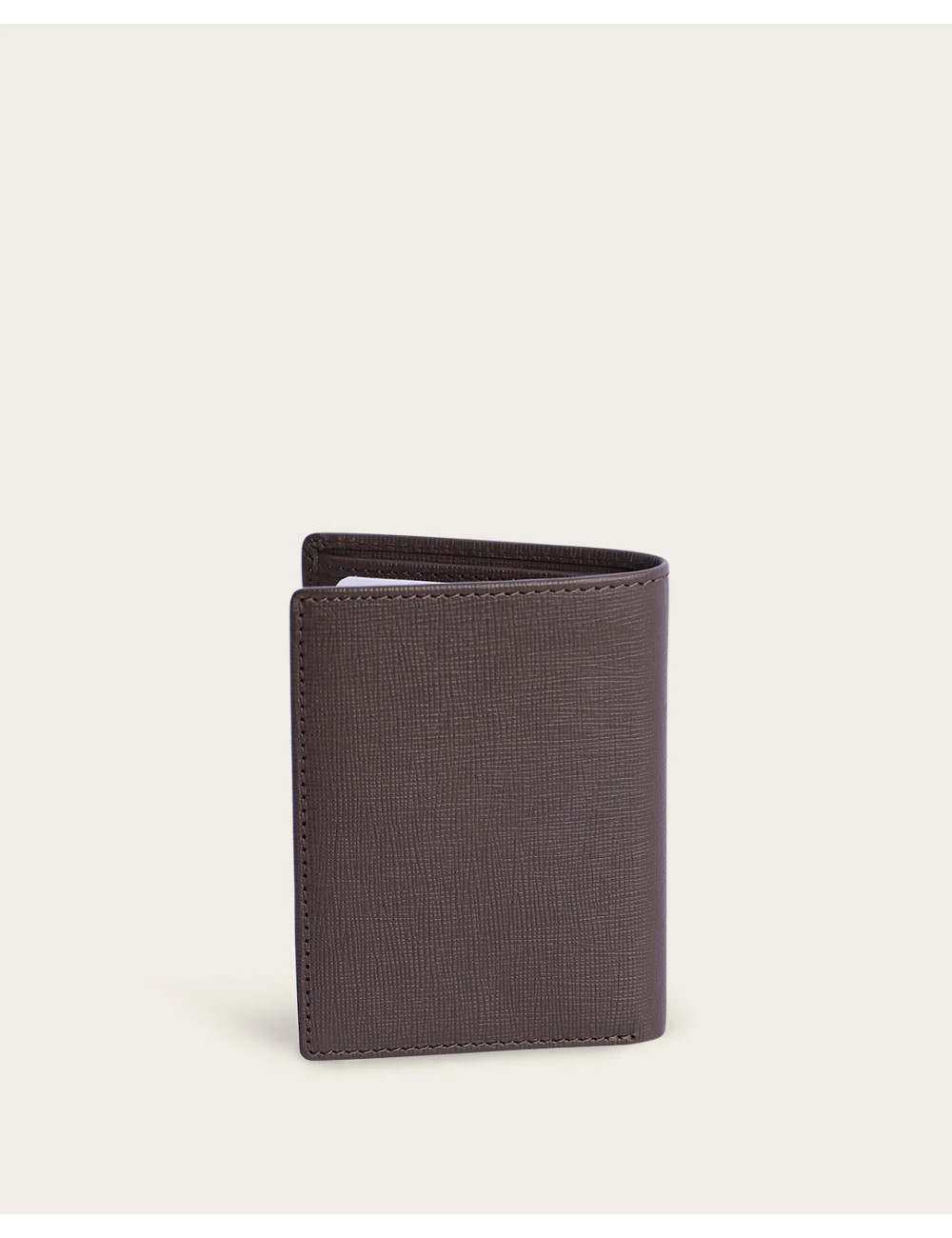 CARTERA PIEL