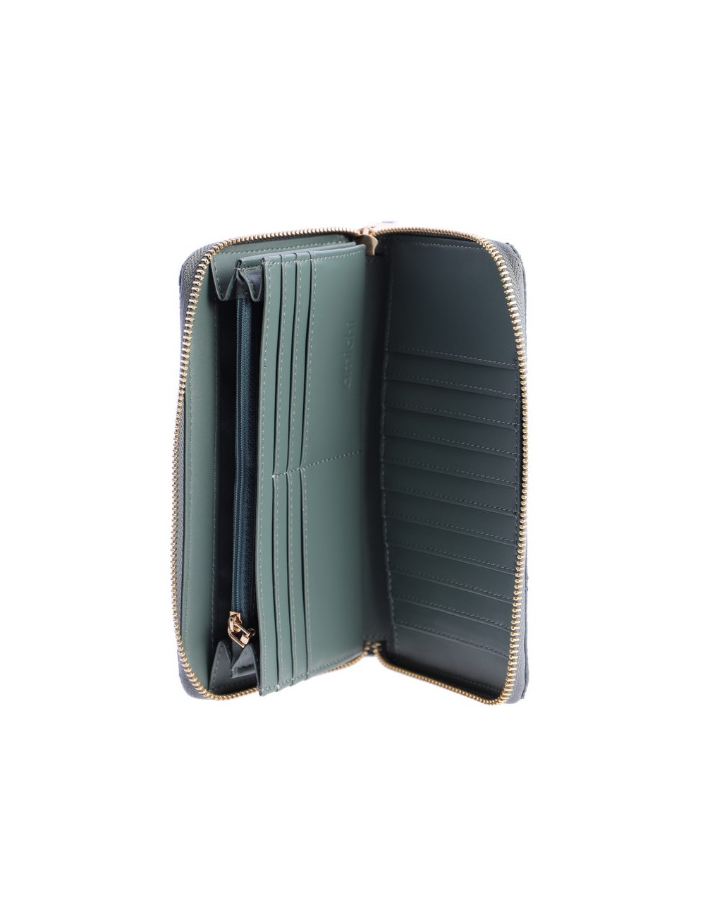CARTERA VERDE