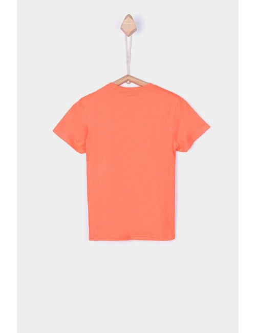 Aria_1C Camiseta 476