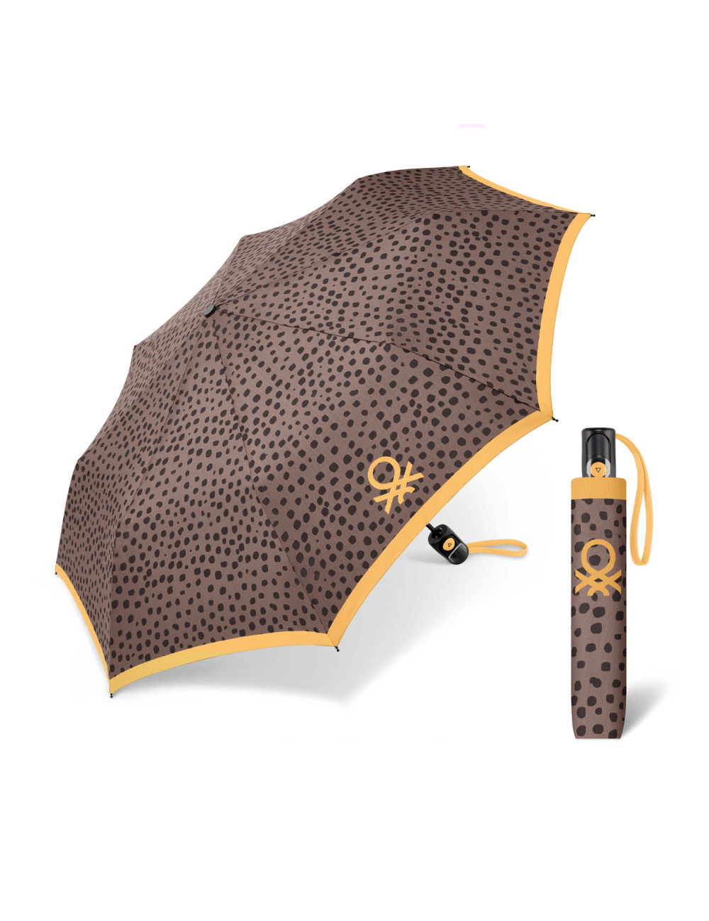 Wild Dots Burlwood